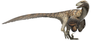 Deinonychus by Fred Wierum, CC BY-SA 4.0 <https://creativecommons.org/licenses/by-sa/4.0>, via Wikimedia Commons

https://commons.wikimedia.org/wiki/File:Fred_Wierum_Deinonychus.png