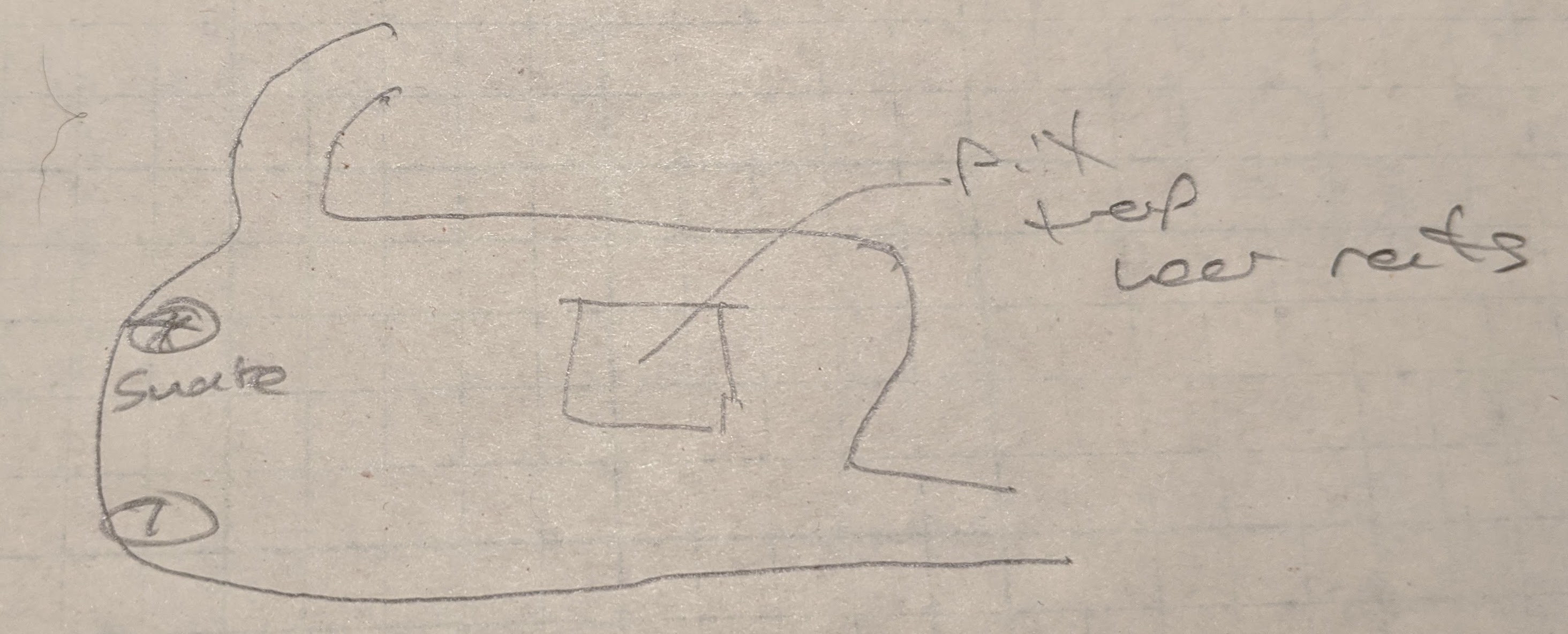 a sketched map of the room with the shrine to The Snake and a pit trap
