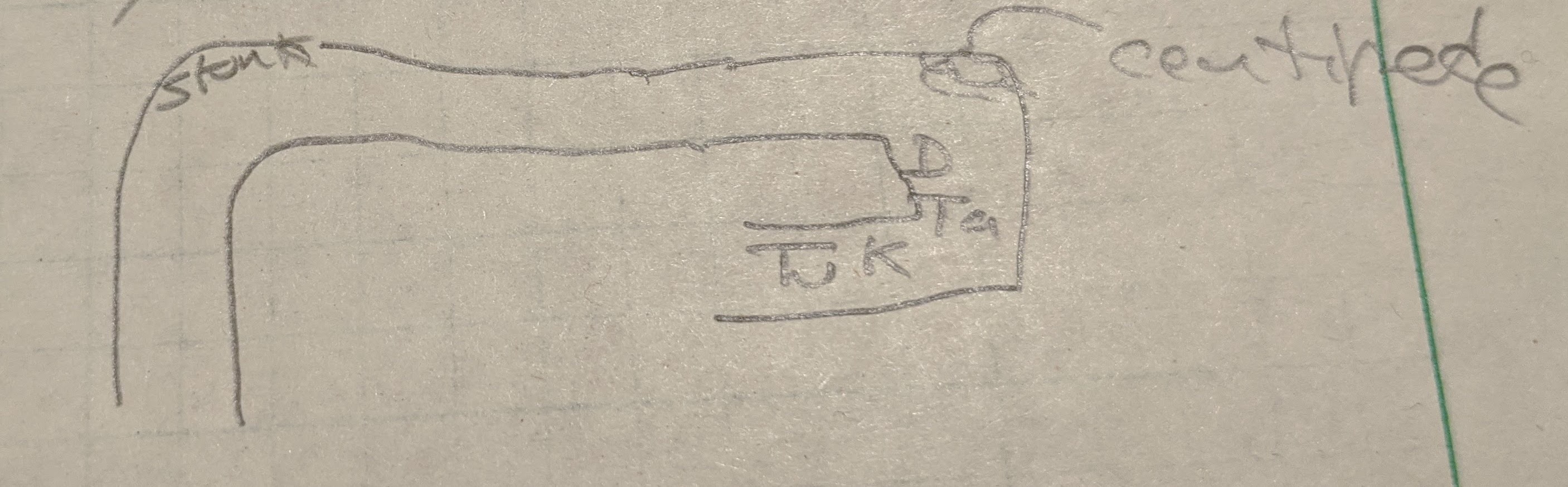 a sketch of the part of the tunnel with the centipede and skunk traps