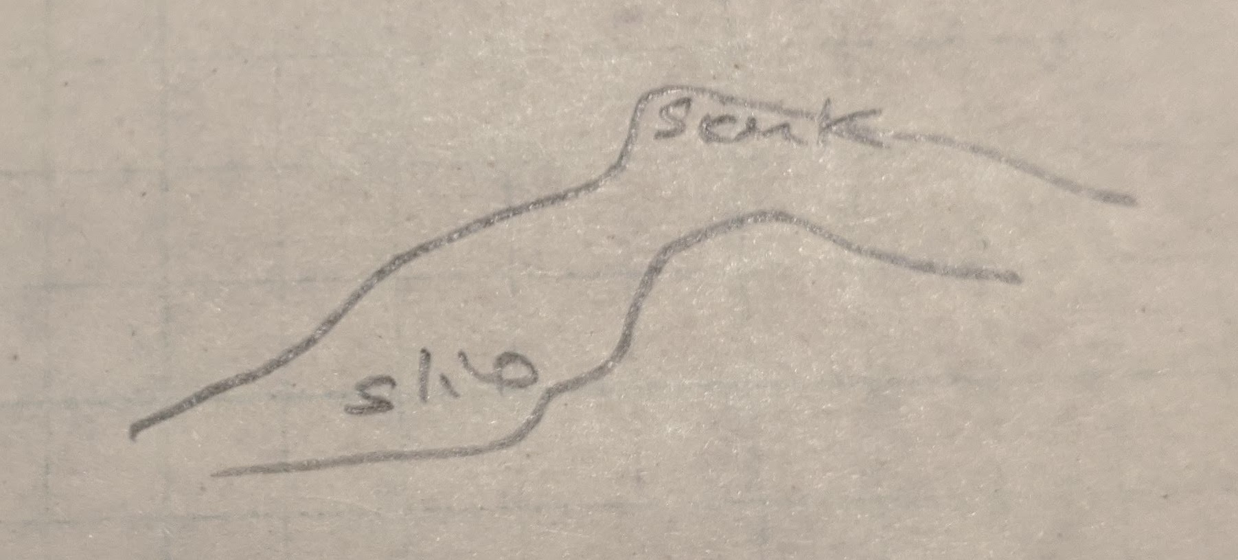 a sketch of the part of the tunnel with the skunk and the slime on the ceiling