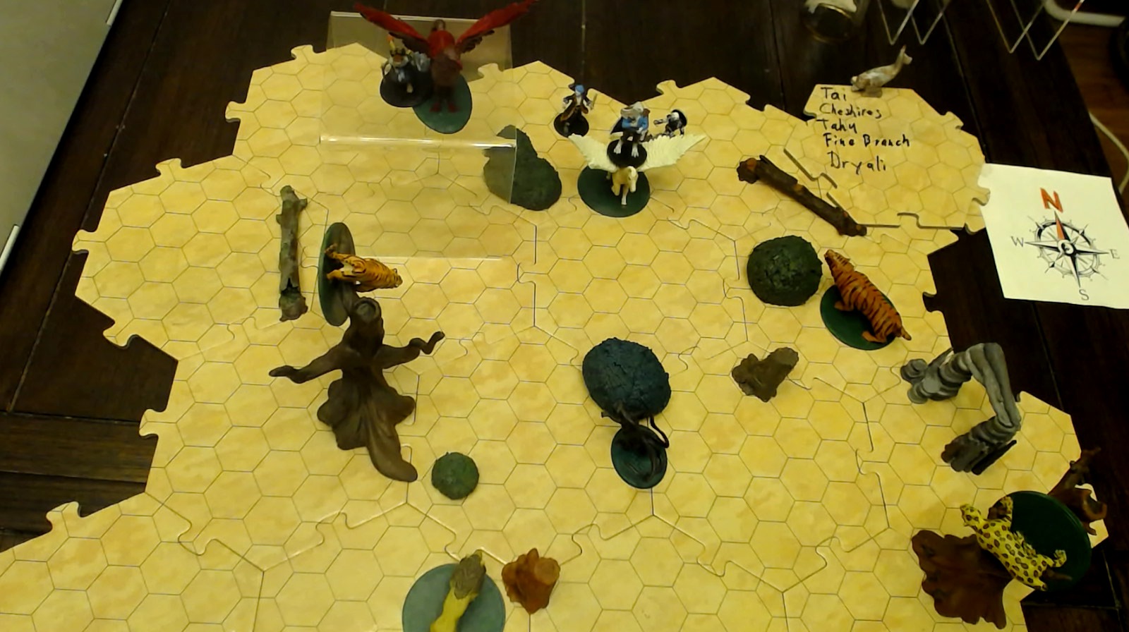 4 Freelancers enter a clearing with 5 cheshires except the minis are actually cats.  A cave opening sits to the southeast.