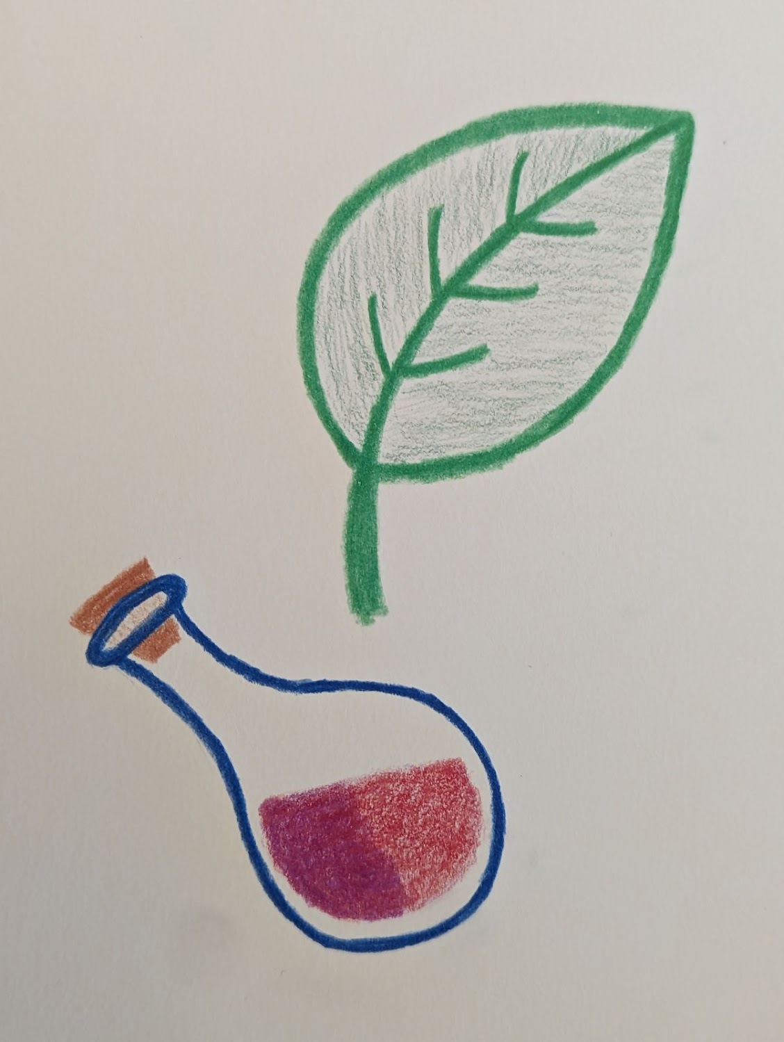 A drawing of a corked potion bottle, tilted left, with a leaf to the upper right, pointing right.